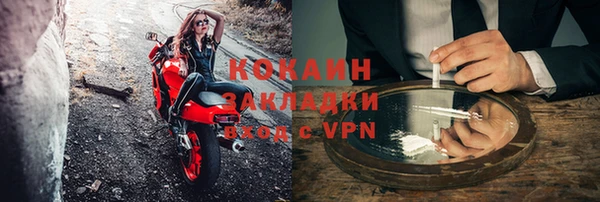 стаф Алексин