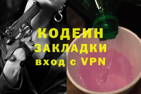 гашик Краснослободск