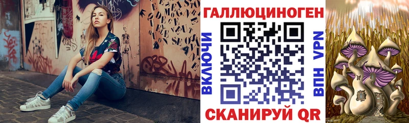 Псилоцибиновые грибы Psilocybine cubensis  дарнет шоп  кракен как зайти  Мензелинск 